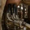 Mammites chez la vache : un enjeu sanitaire majeur pour la qualité du lait