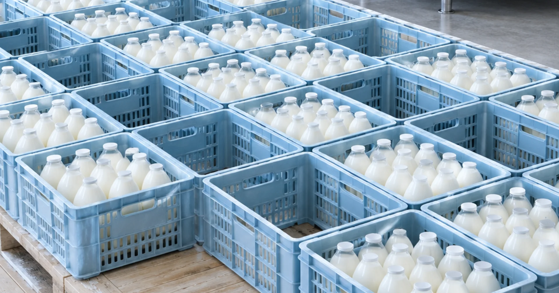Lactalis efface 450 millions de litres : ce que le retrait du premier collecteur redistribue