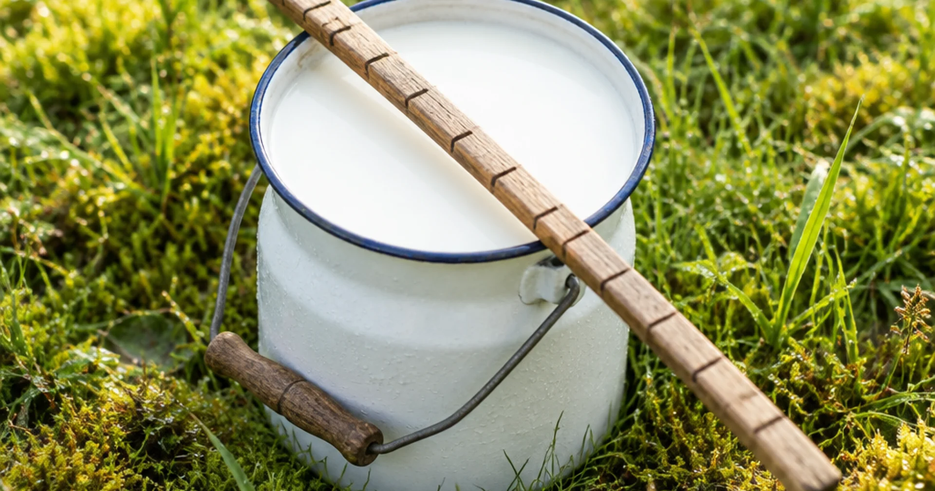 Indicateurs IDELE : pourquoi le thermomètre du prix du lait divise encore la filière