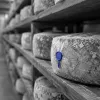 Semaine du Goût : l'AOP fromagère, dernier rempart de valeur quand le lait décroche