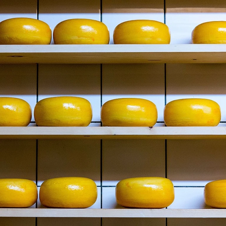 Comprendre l'abondance des vaches dans l'industrie laitière