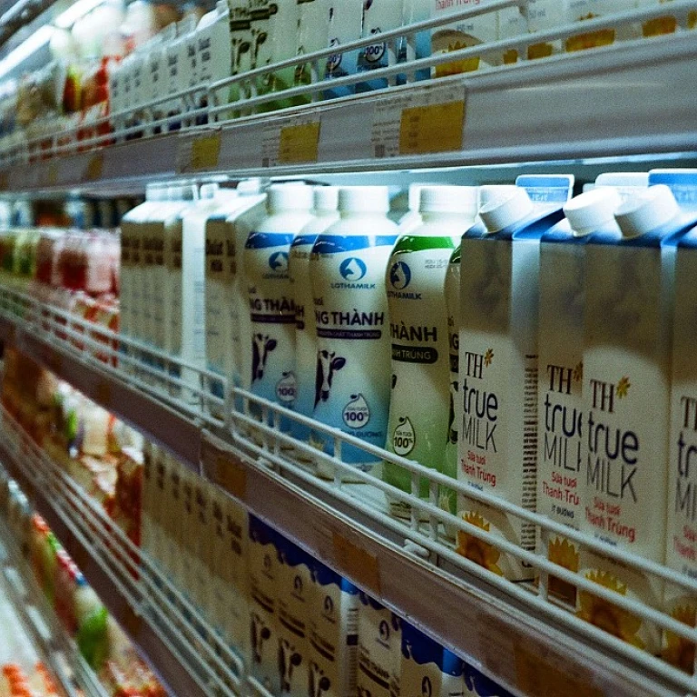 Les secrets du lait de bufflonne