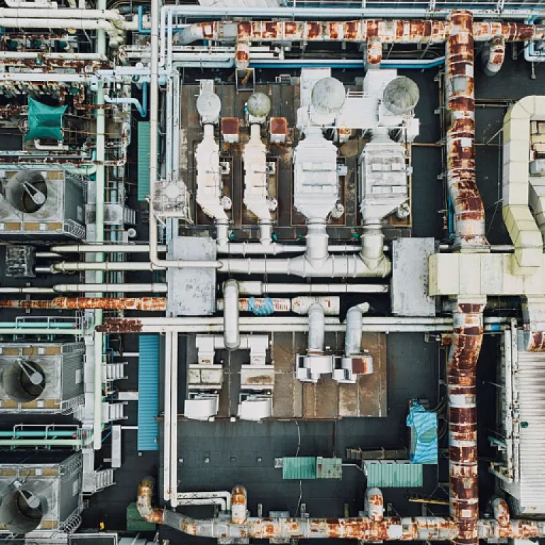 Les vaches nantaises : un atout méconnu de l'industrie laitière