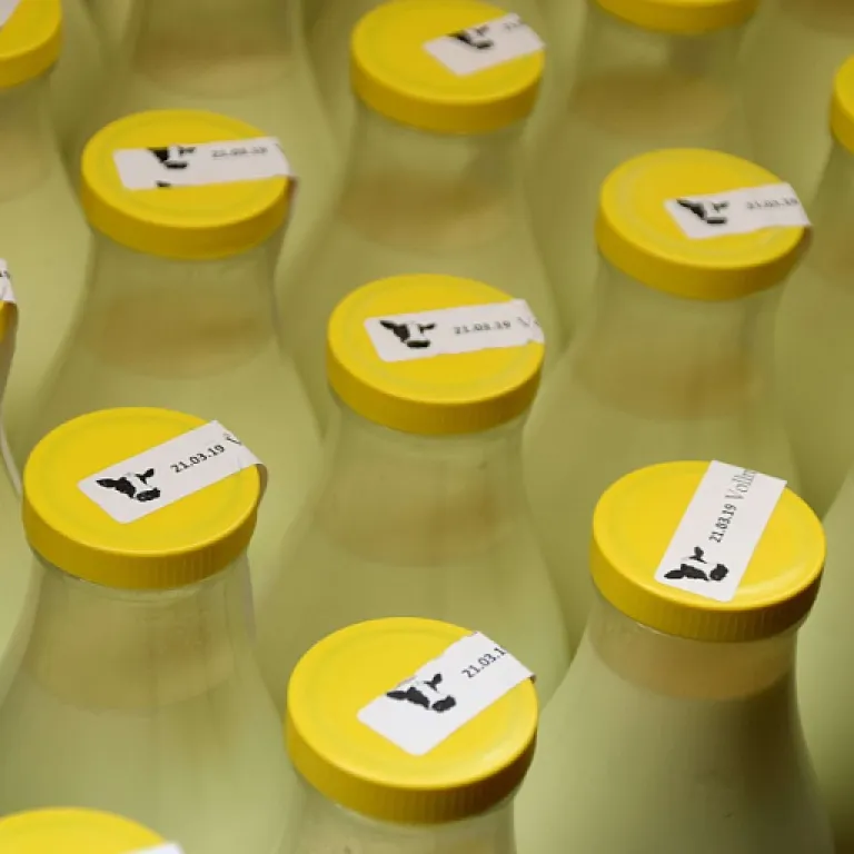 Comprendre le colostrum : un trésor pour l’industrie laitière