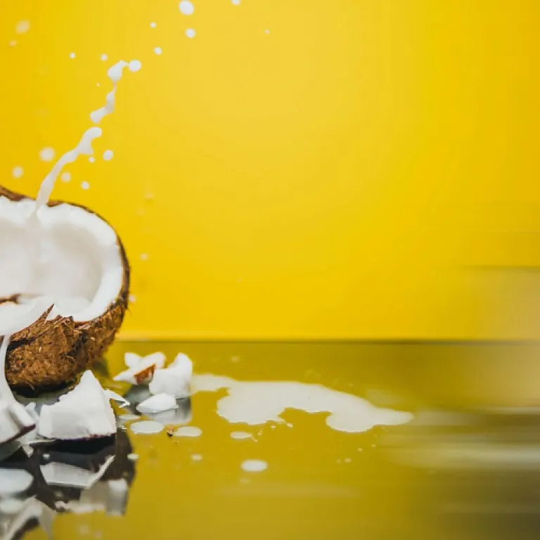 L’art du fromage affiné : secrets et enjeux de l’industrie laitière