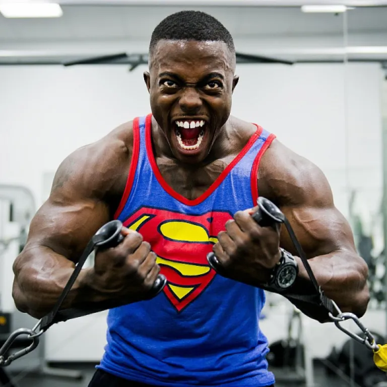 Risque électrique dans l’industrie laitière : maîtriser un danger sous tension