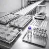 Listeria dans 25 g : les 3 mois qui restent aux laiteries pour se mettre en conformité